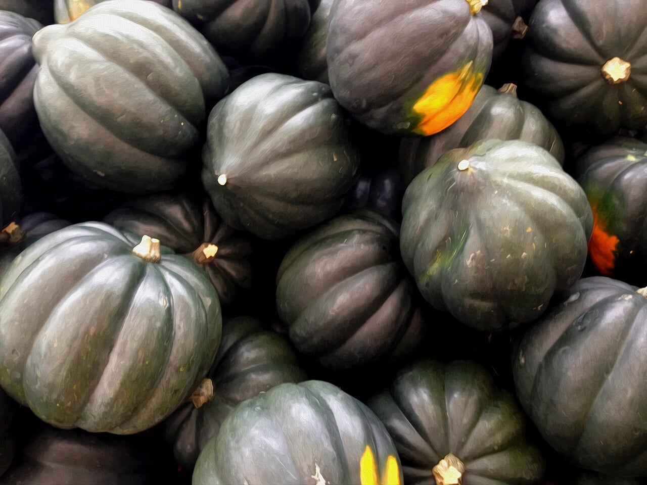 Pile of dark green ribbed acorn squash