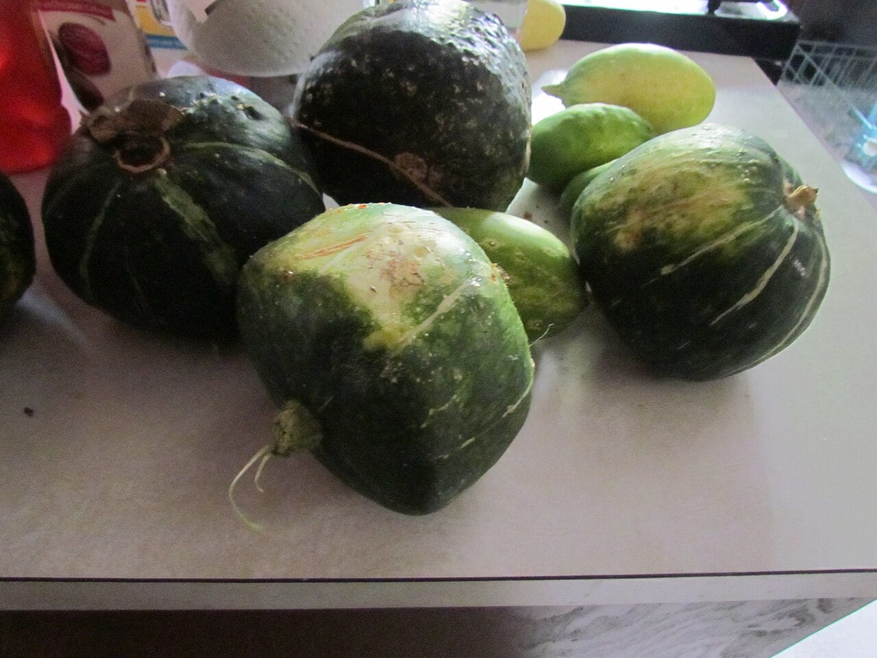 Dark green buttercup squash on a kitchen counter