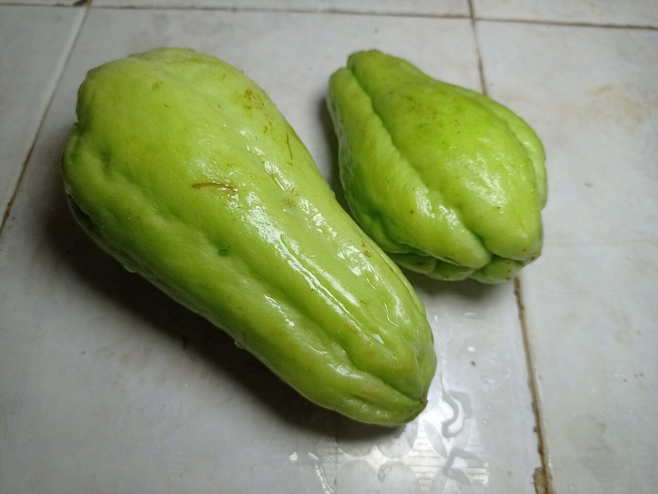 Two pale green pear-shaped chayote